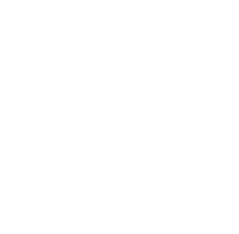 Flor da Vida